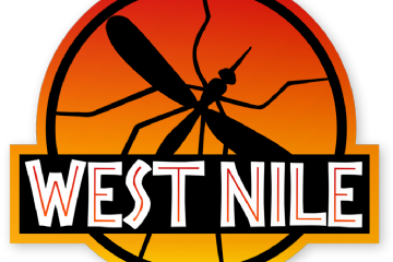 Virus West Nile: conoscilo per difendere te stesso e chi ti sta accanto